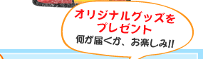 プレゼントはこの中のいずれか！どれが届くか、お楽しみ!!